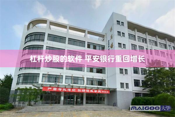 杠杆炒股的软件 平安银行重回增长