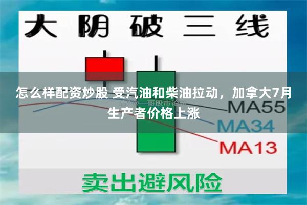 怎么样配资炒股 受汽油和柴油拉动，加拿大7月生产者价格上涨