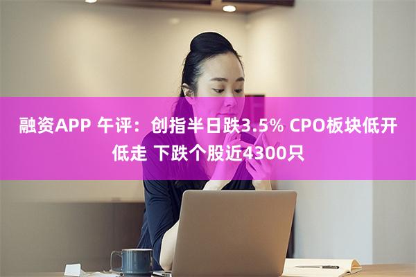 融资APP 午评：创指半日跌3.5% CPO板块低开低走 下跌个股近4300只