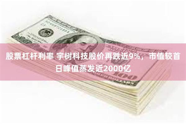 股票杠杆利率 宇树科技股价再跌近9%，市值较首日峰值蒸发近2000亿