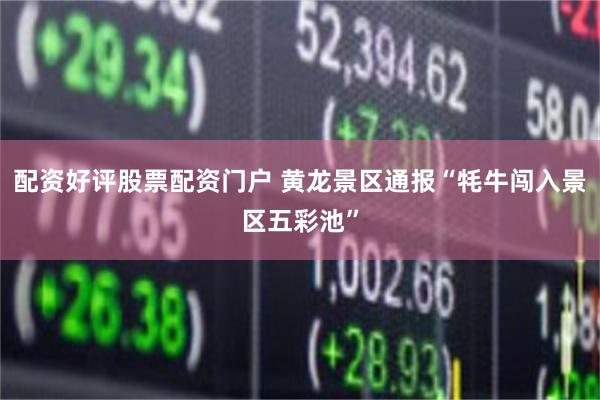 配资好评股票配资门户 黄龙景区通报“牦牛闯入景区五彩池”