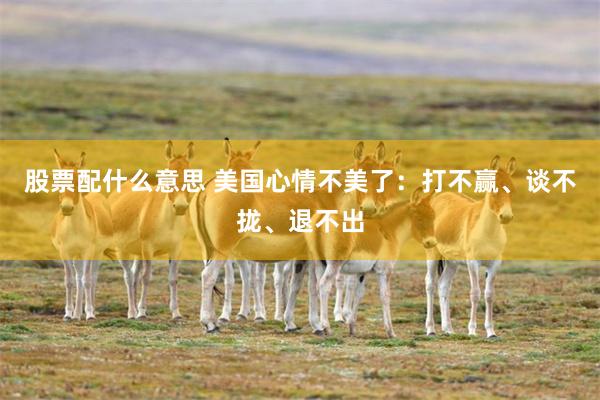 股票配什么意思 美国心情不美了：打不赢、谈不拢、退不出