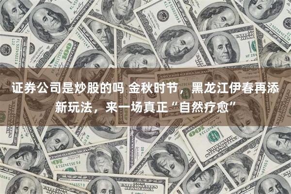 证券公司是炒股的吗 金秋时节，黑龙江伊春再添新玩法，来一场真正“自然疗愈”