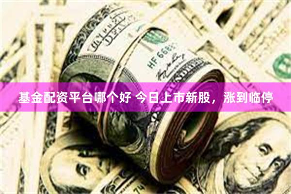 基金配资平台哪个好 今日上市新股，涨到临停