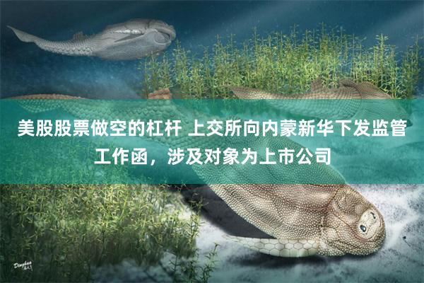 美股股票做空的杠杆 上交所向内蒙新华下发监管工作函，涉及对象为上市公司