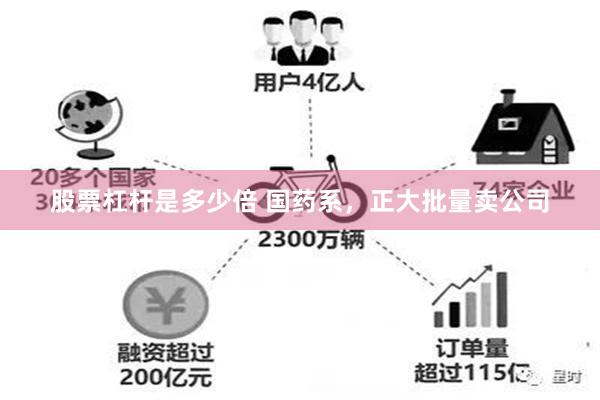 股票杠杆是多少倍 国药系，正大批量卖公司