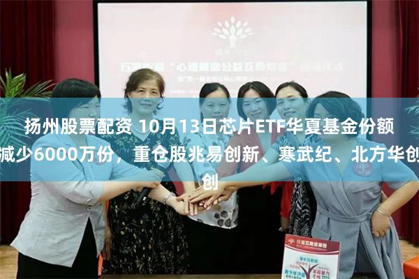 扬州股票配资 10月13日芯片ETF华夏基金份额减少6000万份，重仓股兆易创新、寒武纪、北方华创